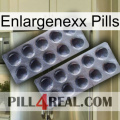 Enlargenexx Pills 31